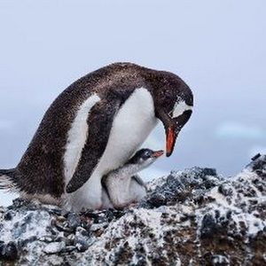 Meet your Posher, Jacob